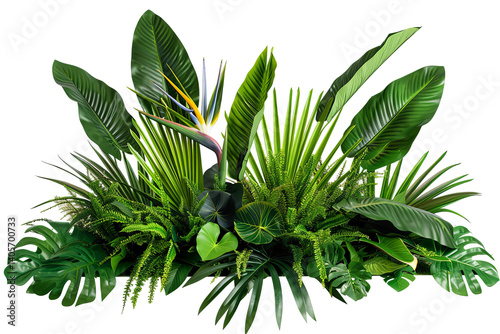 Lush greenery with broad leaves and a bright, exotic bloom creates a tropical aesthetic. Bold, vibrant nature illustration