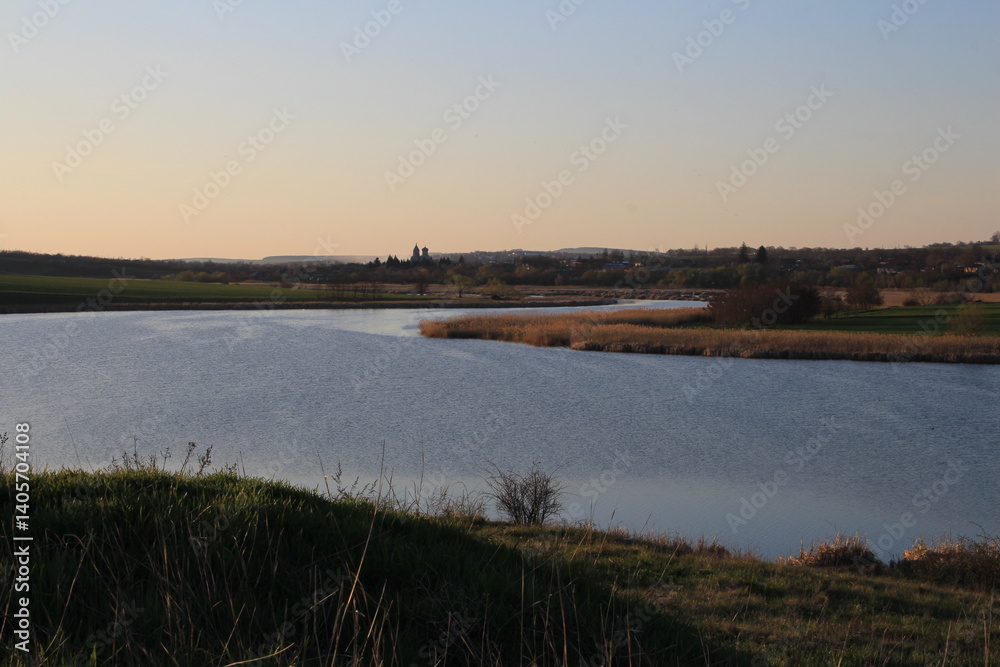 A body of water with grass and trees around it