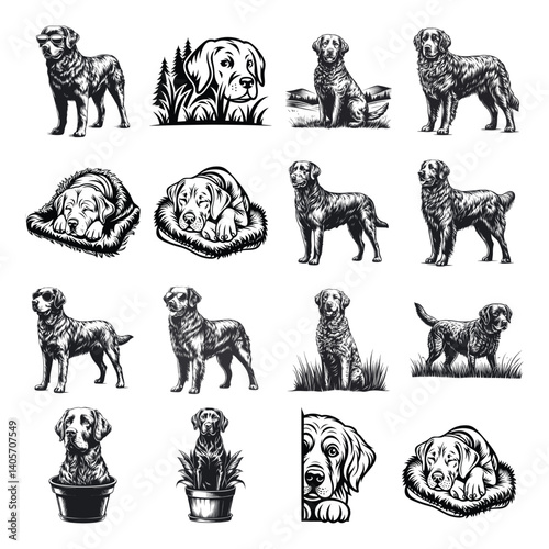 Chesapeake Bay Retriever svg