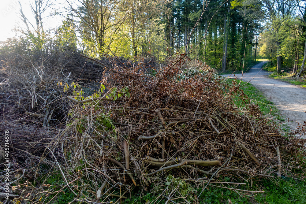 Fototapeta premium Baumschnitt im Frühjahr