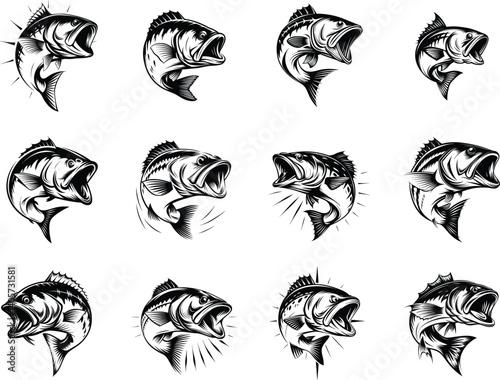 Snapper big  Bass fish silhouette vector illustration 