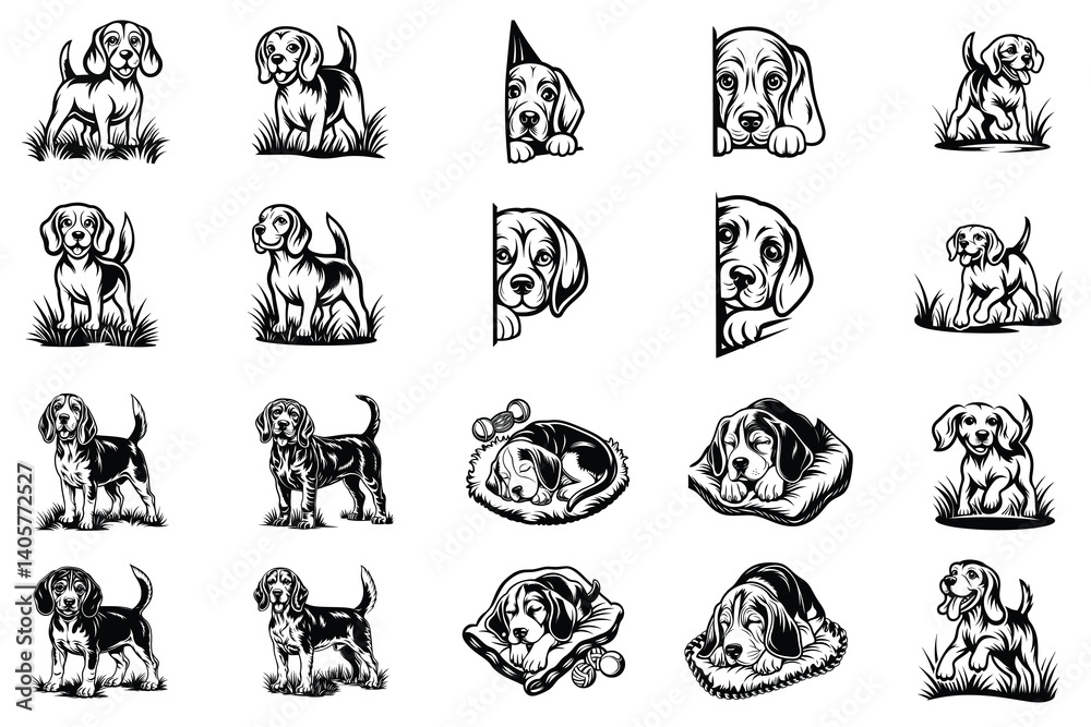 Naklejka premium Beagle