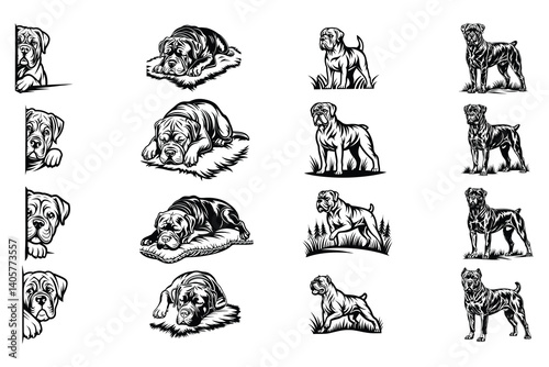 Wallpaper Mural Cane Corso svg Torontodigital.ca