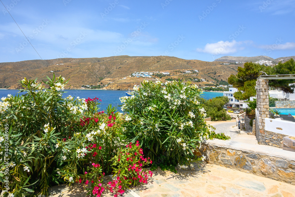 Spring flowering bushes on the island of Amorgos. Cyclades, Greece