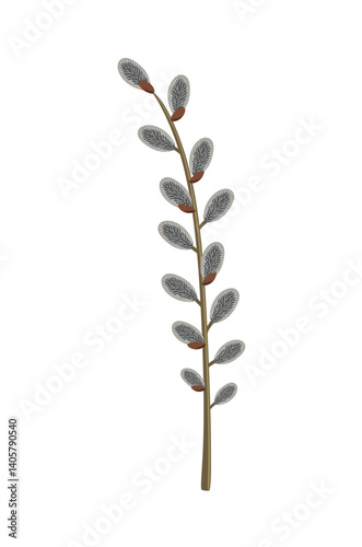 Easter spring twigs blossom pussy willow tree. Vector spring holiday illustration in cartoon flat style isolated on a white background.