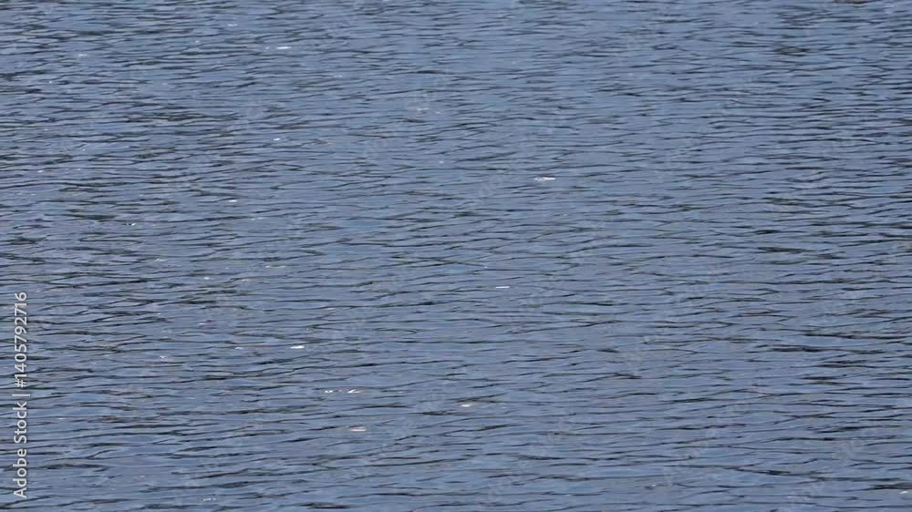 Small ripples on calm lake water
