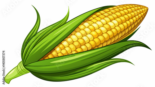 Single ear of corn isolated on white background