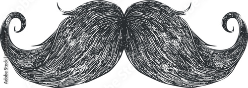 A detailed illustration of a vintage-style mustache with intricate hair details and curls.