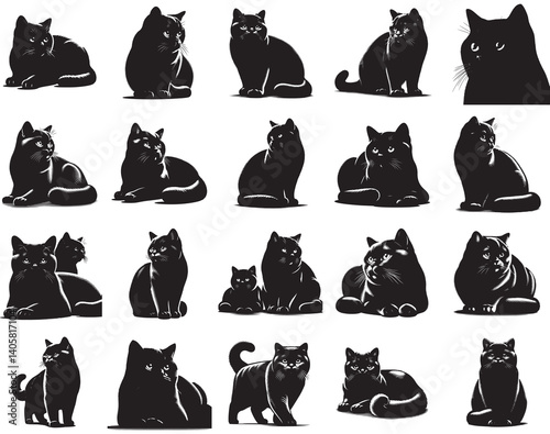 Collection of British shorthair cat silhouette vector art