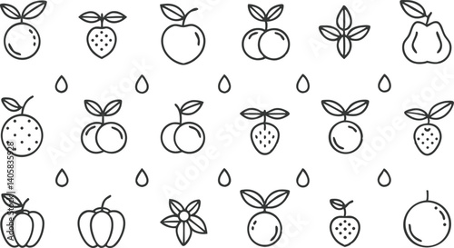 Line Art Fruit Icons Oranges, Strawberries, Cherries, Apples, Guava