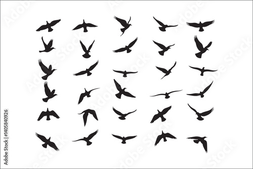 Bird Silhouette Bundle | Flying Birds Vector Clipart | SVG, PNG, EPS for Cricut & Laser Cutting

Birds Vector Silhouettes | Wildlife Animal SVG Files | Digital Bird Clipart for Crafts & Decor

Flying 