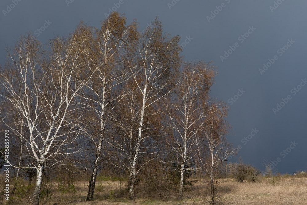 Beautiful rural landscape from the republic of Moldova. Village life in spring.