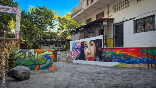 Φωτογραφία Puerto Vallarta Street Art