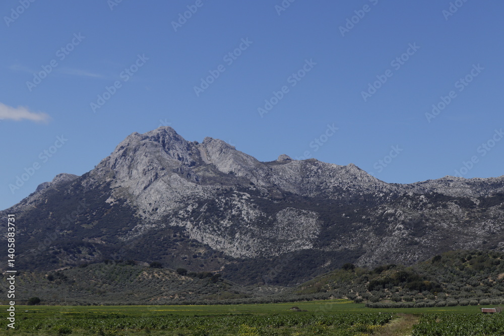 Obraz premium LAS PILAS DE ALFARNATE. ANDALUCIA.