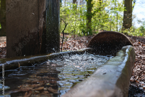 Close up view of splashing wooden water fountain with a rustic trough in a forest