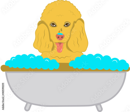 Dog taking a bath