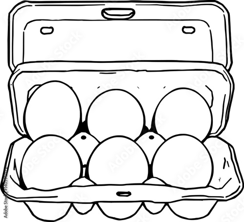Six Fresh Eggs in Carton Ready For Baking or Cooking