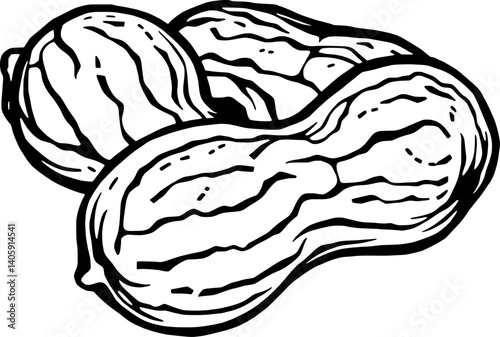 Hand-Drawn Illustration Of Three Peanuts In Their Shells