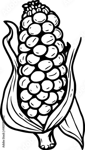 A Detailed Line Drawing Of An Ear Of Corn Showing Kernels And Husk