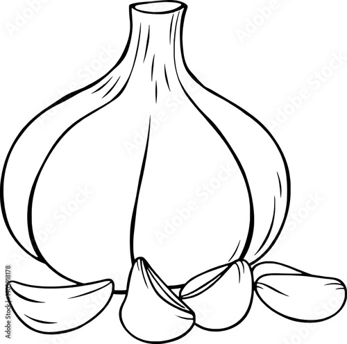 Line Drawing Of A Whole Bulb Of Garlic And Several Cloves
