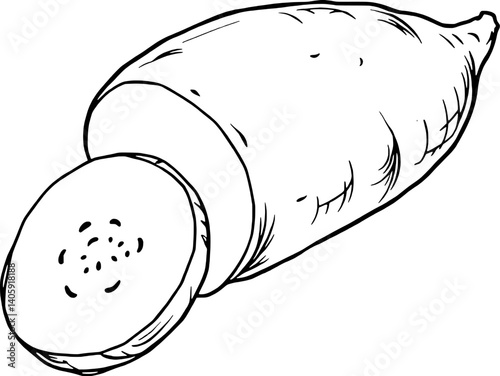 Hand-Drawn Illustration Of A Single Sweet Potato Sliced Open To Reveal Its Interior Texture And Color