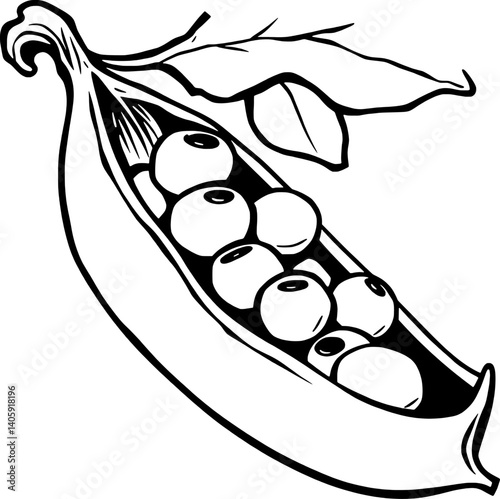 A Detailed Line Drawing Of A Single Pea Pod Filled With Peas