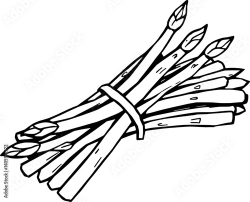 Fresh Green Asparagus Bundle Hand-Drawn Illustration of Spring Vegetable
