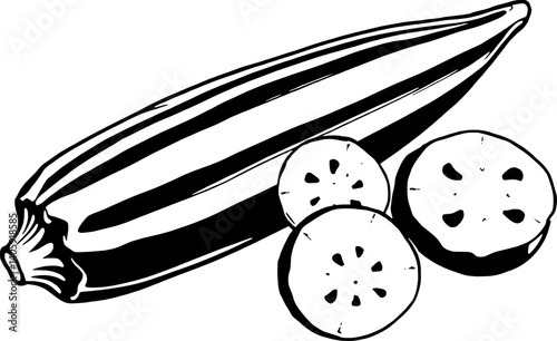 Fresh Okra Vegetable Whole Pod And Sliced Rings Illustration
