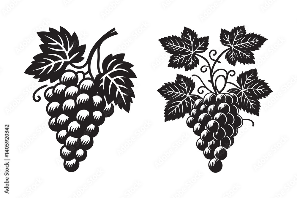 Obraz premium Grapes silhouette with white background