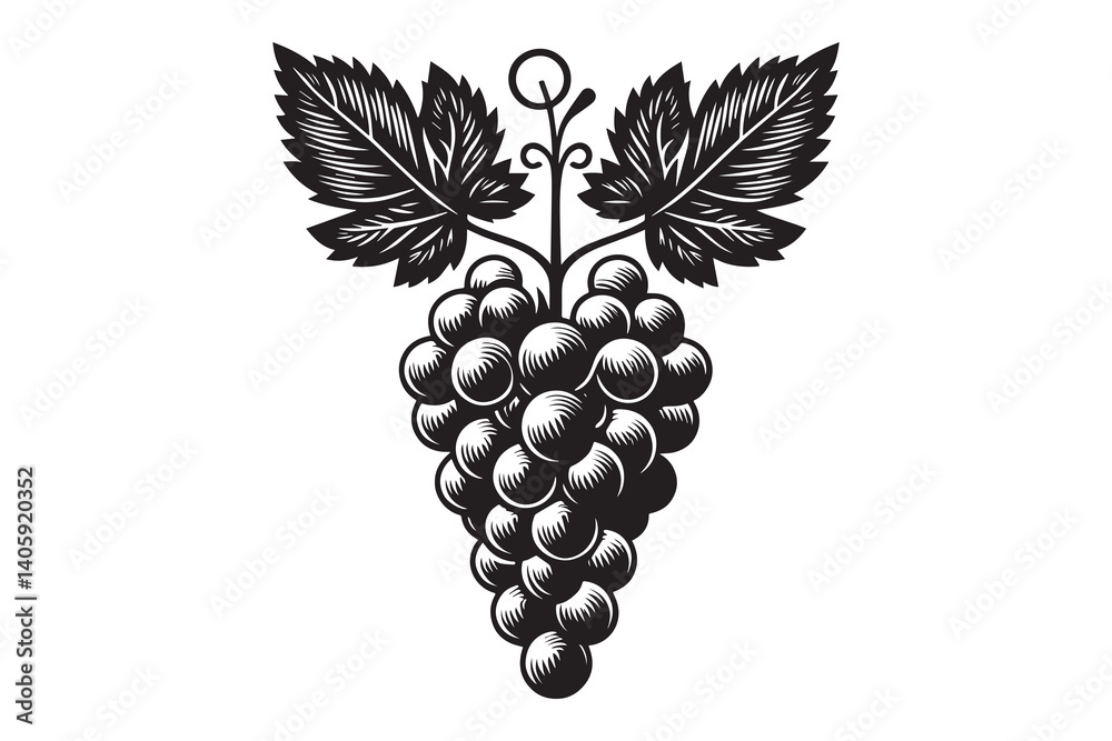 Obraz premium Grapes silhouette with white background