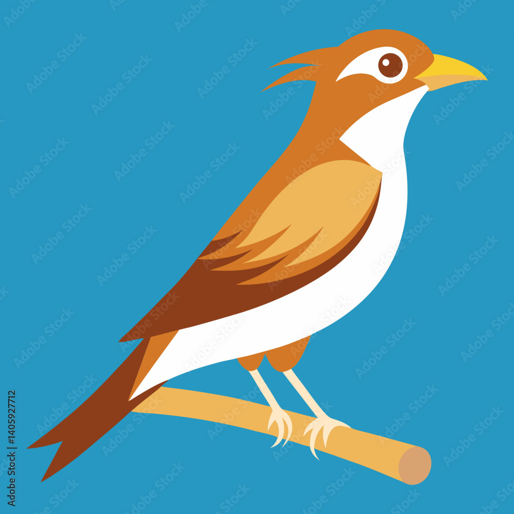 Fototapeta premium vector illustration of a bird