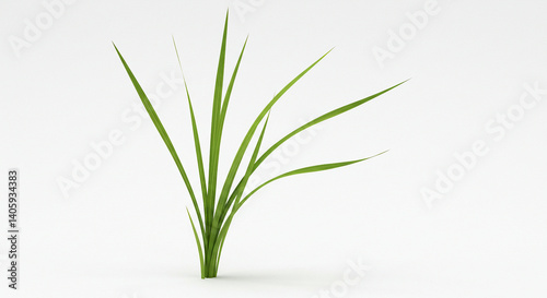 Green grass, reed isolated on white background and texture, clipping path