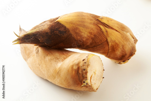 生の筍