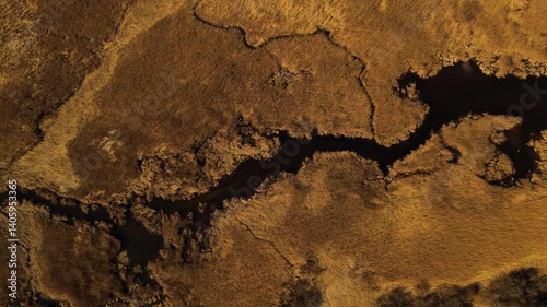 Drone shot of a dense, golden-brown marsh with a dark, winding stream cutting through dried reeds and grasses.