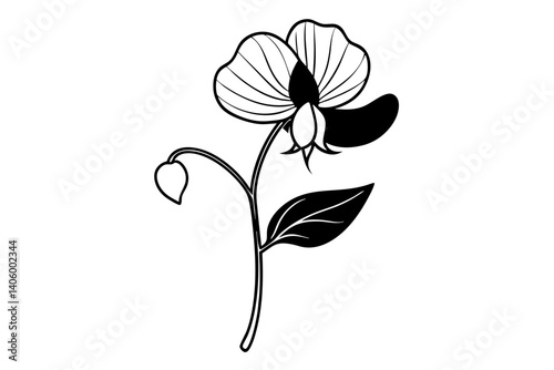 Sweet Pea Flower Silhouette Line Drawing
