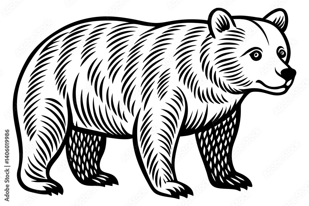 Obraz premium Bear Outline Nature Art