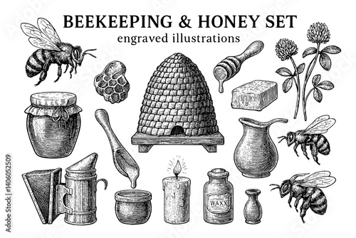 Engraved illustrations of beekeeping tools and honey products showcasing intricate designs and natural beauty
