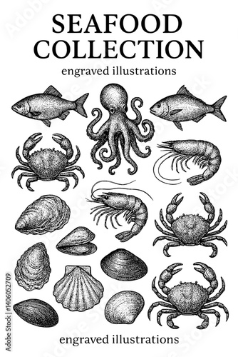 Collection of engraved seafood illustrations featuring various ocean creatures on a transparent background