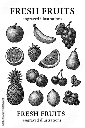 Engraved illustrations of fresh fruits showcasing nature's bounty in a detailed vector art style against a transparent backdrop