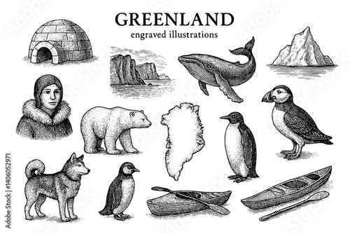 Engraved illustrations showcasing the diverse wildlife and culture of Greenland in exquisite detail