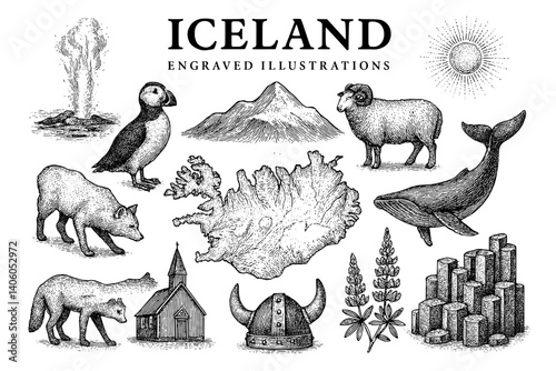 Engraved illustrations showcasing the diverse wildlife and landscapes of Iceland in intricate black and white designs