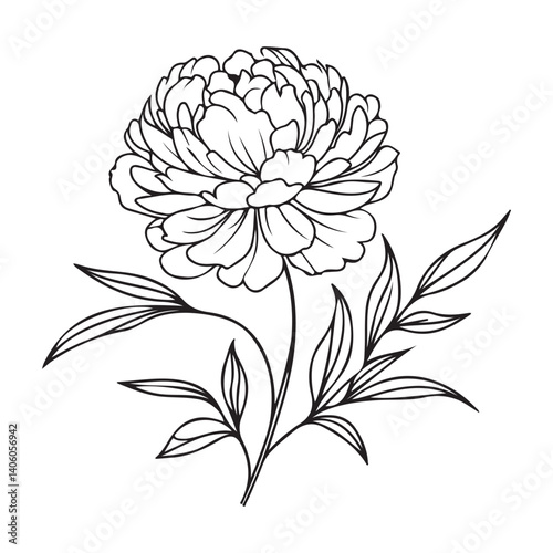 Simple dahlia flower vector art singleline art
