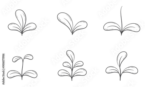 Plant sprouts with rounded leaves line illustrations. Nature and planting design elements. Isolated vector images