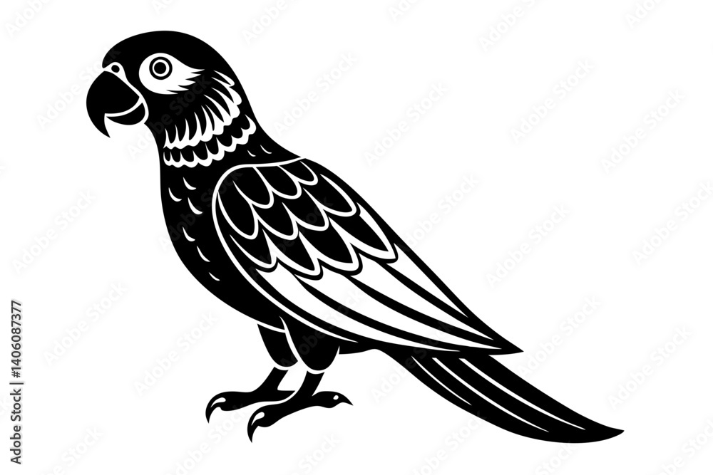 Obraz premium Parrot Vector Line Drawing