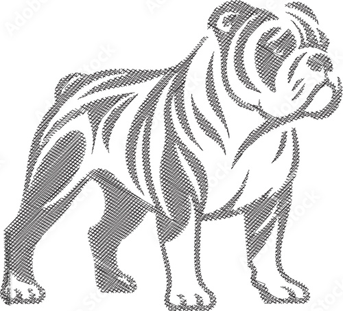 Elegant American Bulldog Dog Sketch in Stylized Design Illustration