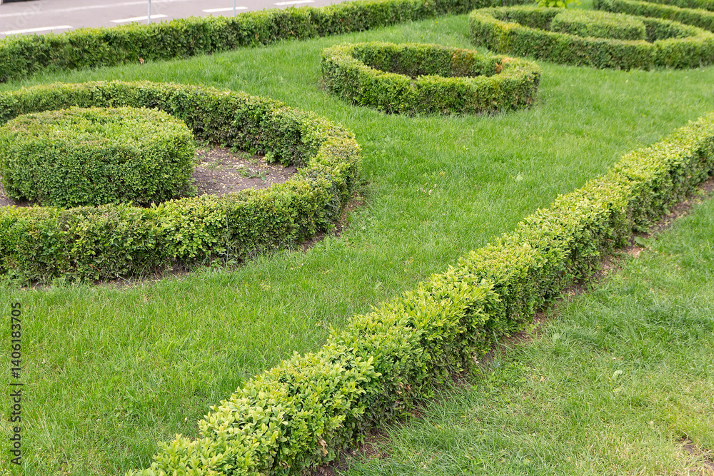 Landscape design with cut bushes in the form of circles Landscape design with cut bushes in the form of circles