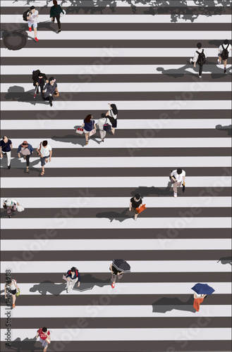 Zebra Crossing People Top View Flat Illustration