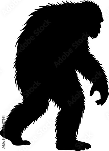 "Shadow of the Wild: Bigfoot in Motion"

"Legend in the Mist: The Walking Sasquatch"

"Myth on the Move: Bigfoot Silhouette"

