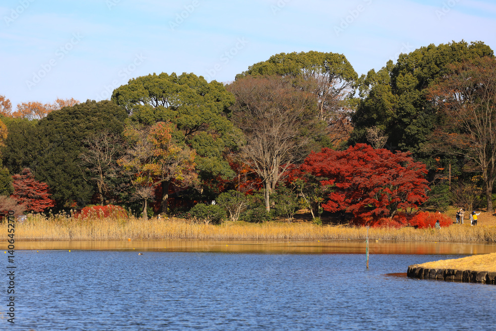 Obraz premium Scenic Park Landscape with Autumn Foliage and Calm Lake Reflection Dec 4 2024