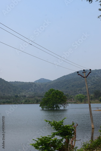 Wallpaper Mural single tree inside the water tree lake with background mountain  tamilnadu electrical post mountain  Torontodigital.ca